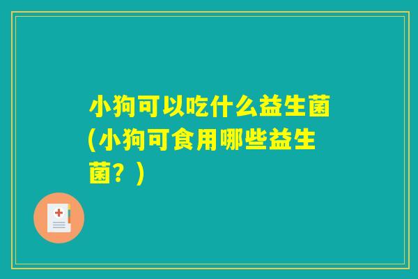 小狗可以吃什么益生菌(小狗可食用哪些益生菌？)