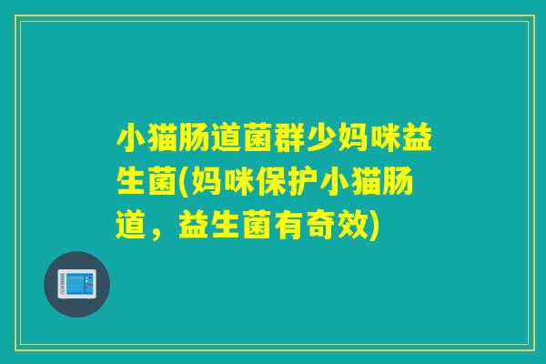 小猫肠道菌群少妈咪益生菌(妈咪保护小猫肠道，益生菌有奇效)