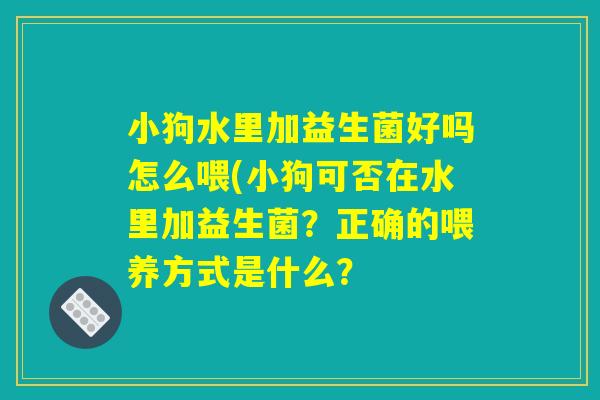 小狗水里加益生菌好吗怎么喂(小狗可否在水里加益生菌？正确的喂养方式是什么？
