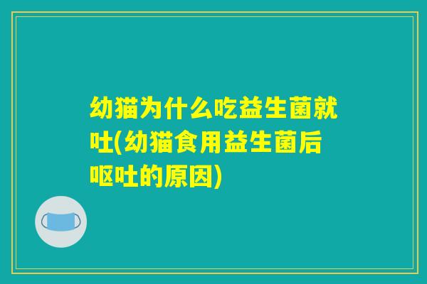幼猫为什么吃益生菌就吐(幼猫食用益生菌后呕吐的原因)