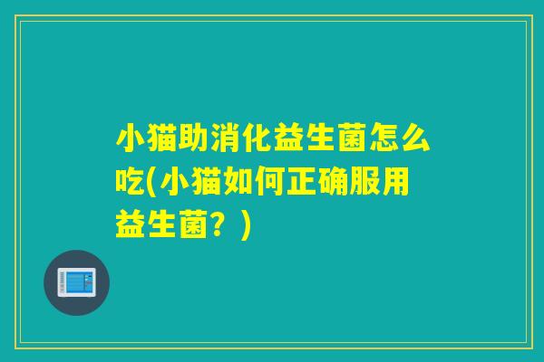 小猫助消化益生菌怎么吃(小猫如何正确服用益生菌？)