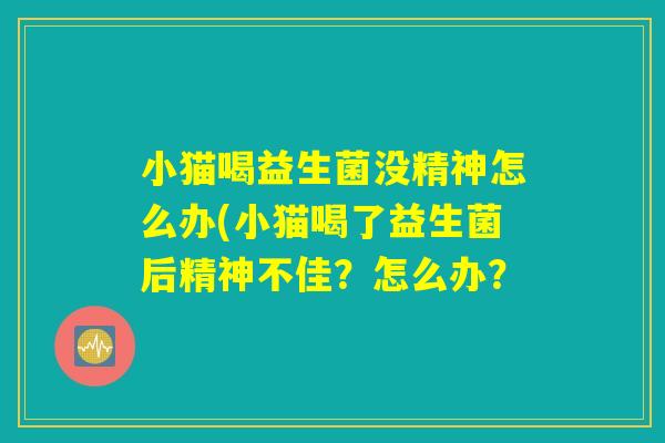 小猫喝益生菌没精神怎么办(小猫喝了益生菌后精神不佳？怎么办？