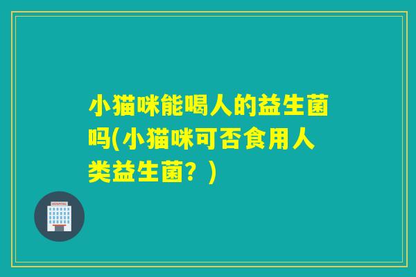 小猫咪能喝人的益生菌吗(小猫咪可否食用人类益生菌？)