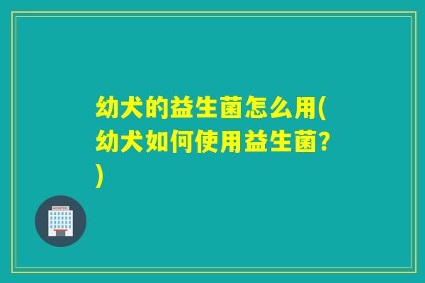 幼犬的益生菌怎么用(幼犬如何使用益生菌？)