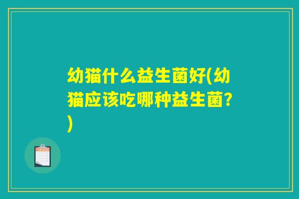 幼猫什么益生菌好(幼猫应该吃哪种益生菌？)