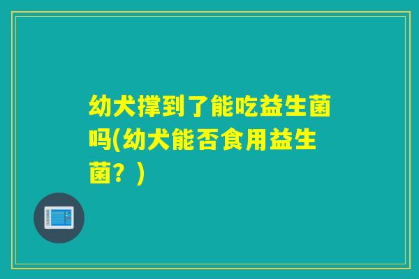 幼犬撑到了能吃益生菌吗(幼犬能否食用益生菌？)