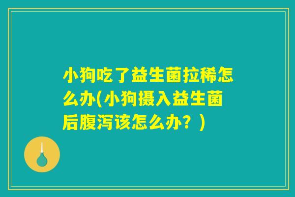 小狗吃了益生菌拉稀怎么办(小狗摄入益生菌后该怎么办?) 小狗吃了益生菌拉稀怎么办(小狗摄入益生菌后该怎么办?)
