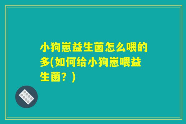 小狗崽益生菌怎么喂的多(如何给小狗崽喂益生菌？)