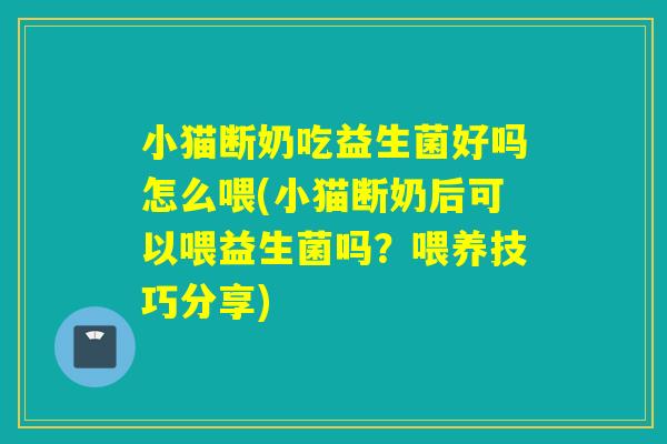小猫断奶吃益生菌好吗怎么喂(小猫断奶后可以喂益生菌吗？喂养技巧分享)