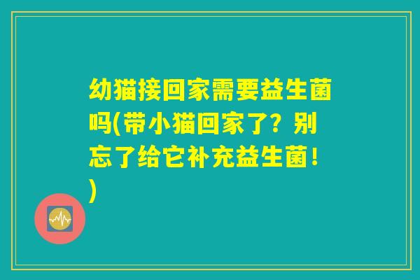 幼猫接回家需要益生菌吗(带小猫回家了？别忘了给它补充益生菌！)