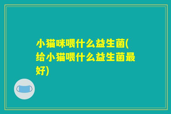 小猫咪喂什么益生菌(给小猫喂什么益生菌最好)