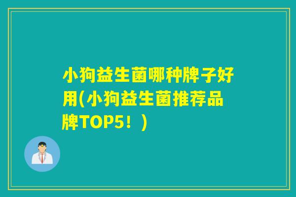 小狗益生菌哪种牌子好用(小狗益生菌推荐品牌TOP5！)