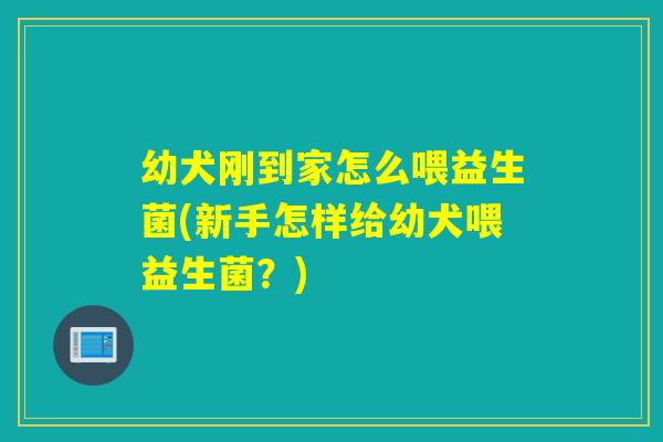 幼犬刚到家怎么喂益生菌(新手怎样给幼犬喂益生菌？)