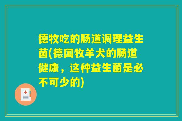 德牧吃的肠道调理益生菌(德国牧羊犬的肠道健康，这种益生菌是必不可少的)