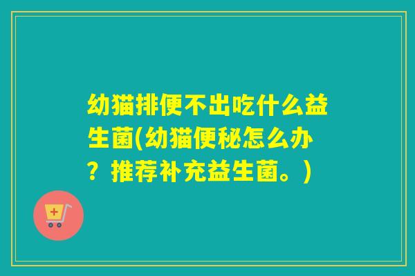 幼猫排便不出吃什么益生菌(幼猫便秘怎么办？推荐补充益生菌。)