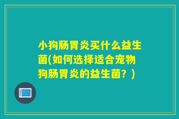 小狗肠买什么益生菌(如何选择适合宠物狗肠的益生菌?) 小狗肠买什么益生菌(如何选择适合宠物狗肠的益生菌?)