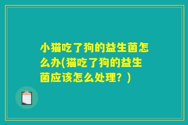 小猫吃了狗的益生菌怎么办(猫吃了狗的益生菌应该怎么处理？)
