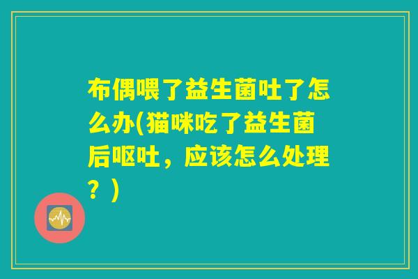 布偶喂了益生菌吐了怎么办(猫咪吃了益生菌后呕吐，应该怎么处理？)