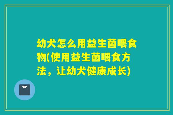 幼犬怎么用益生菌喂食物(使用益生菌喂食方法,让幼犬健康成长) 幼犬怎么用益生菌喂食物(使用益生菌喂食方法,让幼犬健康成长)