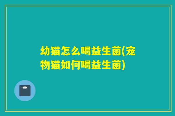 幼猫怎么喝益生菌(宠物猫如何喝益生菌)