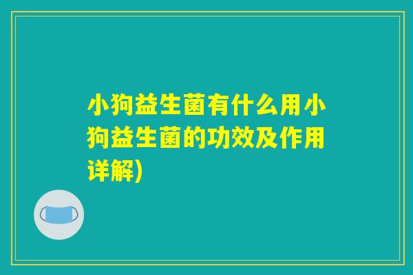 小狗益生菌有什么用小狗益生菌的功效及作用详解)