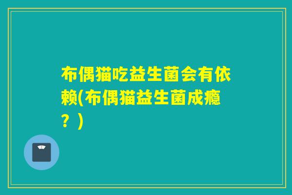 布偶猫吃益生菌会有依赖(布偶猫益生菌成瘾？)