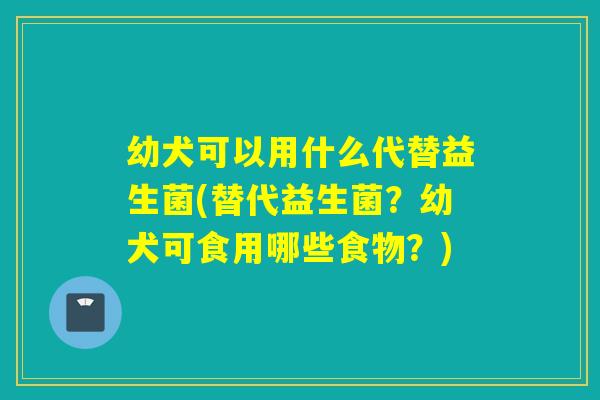 幼犬可以用什么代替益生菌(替代益生菌？幼犬可食用哪些食物？)