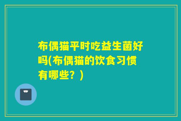 布偶猫平时吃益生菌好吗(布偶猫的饮食习惯有哪些？)