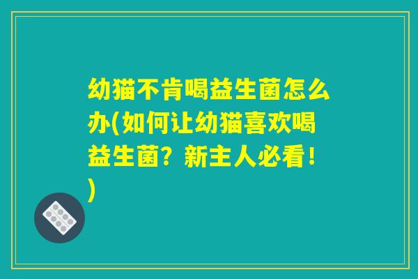 幼猫不肯喝益生菌怎么办(如何让幼猫喜欢喝益生菌？新主人必看！)