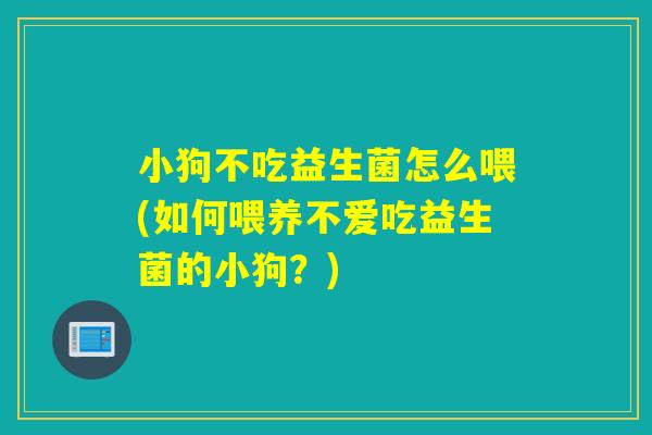 详细阅读:小狗不吃益生菌怎么喂(如何喂养不爱吃益生菌的小狗?) 小狗不吃益生菌怎么喂(如何喂养不爱吃益生菌的小狗?)