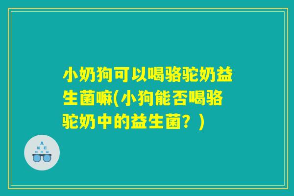 小奶狗可以喝骆驼奶益生菌嘛(小狗能否喝骆驼奶中的益生菌?) 小奶狗可以喝骆驼奶益生菌嘛(小狗能否喝骆驼奶中的益生菌?)