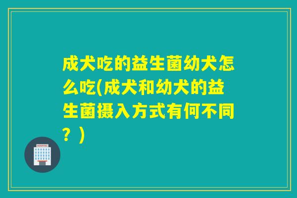 成犬吃的益生菌幼犬怎么吃(成犬和幼犬的益生菌摄入方式有何不同？)