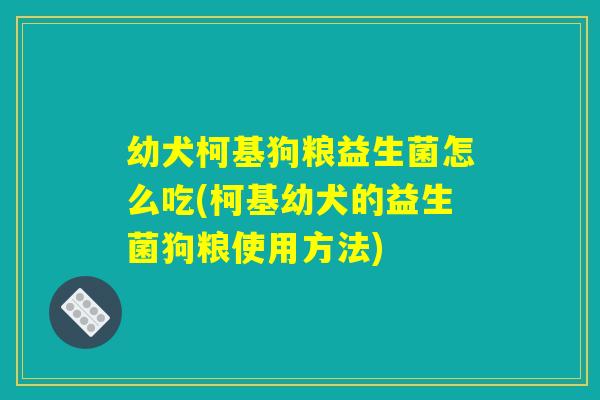 幼犬柯基狗粮益生菌怎么吃(柯基幼犬的益生菌狗粮使用方法)