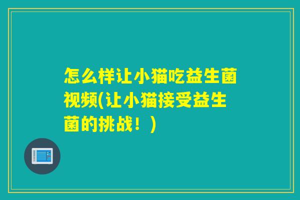 怎么样让小猫吃益生菌视频(让小猫接受益生菌的挑战！)