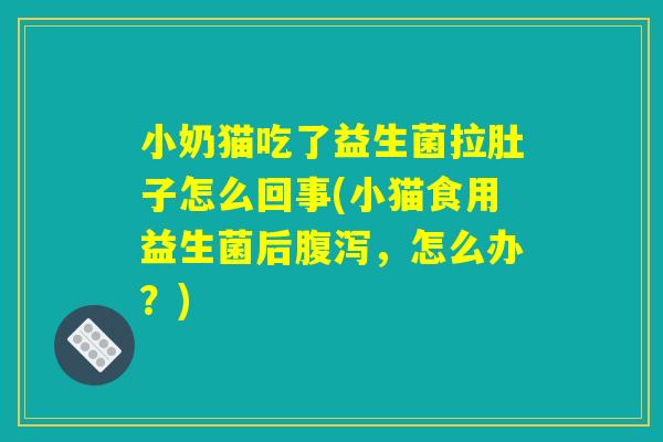 小奶猫吃了益生菌拉肚子怎么回事(小猫食用益生菌后腹泻，怎么办？)