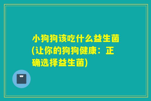 小狗狗该吃什么益生菌(让你的狗狗健康：正确选择益生菌)