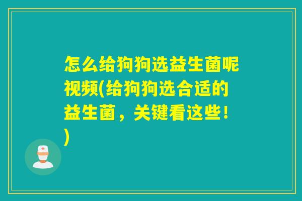 怎么给狗狗选益生菌呢视频(给狗狗选合适的益生菌，关键看这些！)