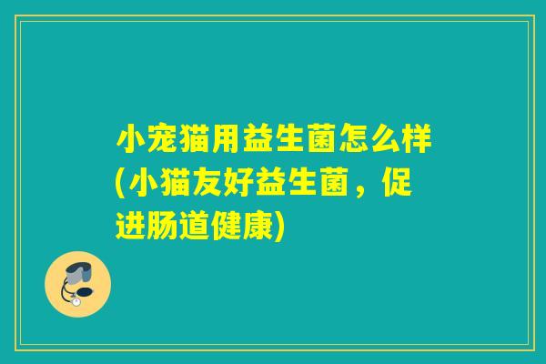 小宠猫用益生菌怎么样(小猫友好益生菌,促进肠道健康) 小宠猫用益生菌怎么样(小猫友好益生菌,促进肠道健康)
