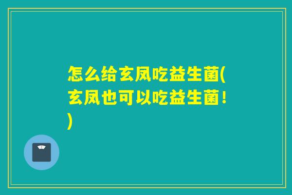 怎么给玄凤吃益生菌(玄凤也可以吃益生菌！)