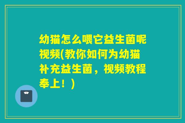 幼猫怎么喂它益生菌呢视频(教你如何为幼猫补充益生菌，视频教程奉上！)