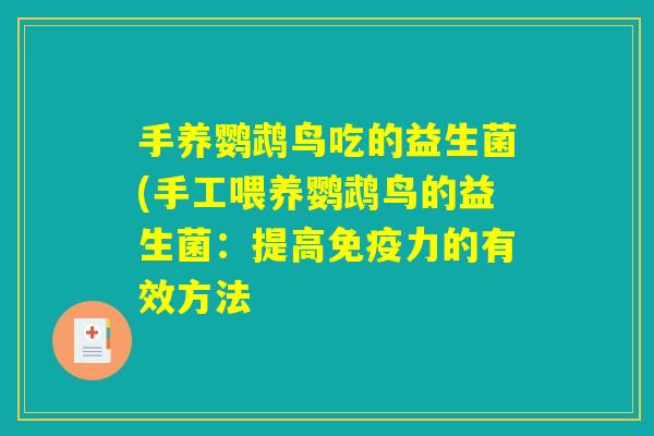 手养鹦鹉鸟吃的益生菌(手工喂养鹦鹉鸟的益生菌：提高免疫力的有效方法