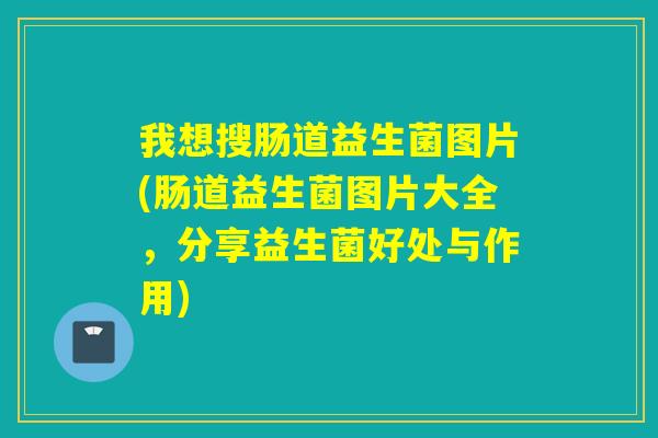 我想搜肠道益生菌图片(肠道益生菌图片大全，分享益生菌好处与作用)