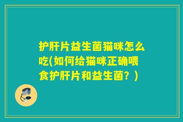 护肝片益生菌猫咪怎么吃(如何给猫咪正确喂食护肝片和益生菌？)