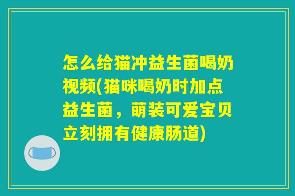 怎么给猫冲益生菌喝奶视频(猫咪喝奶时加点益生菌，萌装可爱宝贝立刻拥有健康肠道)
