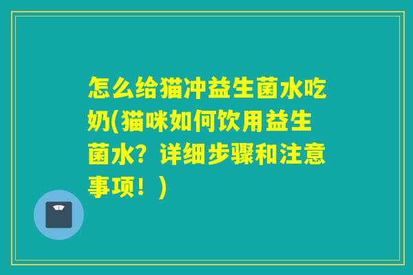 怎么给猫冲益生菌水吃奶(猫咪如何饮用益生菌水？详细步骤和注意事项！)