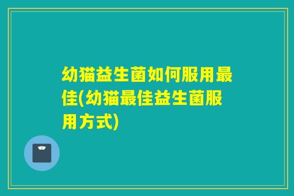 幼猫益生菌如何服用最佳(幼猫最佳益生菌服用方式)