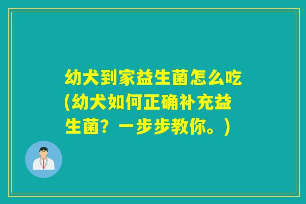 幼犬到家益生菌怎么吃(幼犬如何正确补充益生菌？一步步教你。)