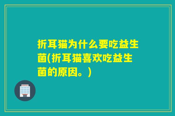 折耳猫为什么要吃益生菌(折耳猫喜欢吃益生菌的原因。)