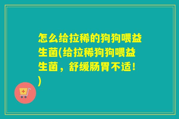 怎么给拉稀的狗狗喂益生菌(给拉稀狗狗喂益生菌，舒缓肠胃不适！)