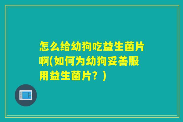 怎么给幼狗吃益生菌片啊(如何为幼狗妥善服用益生菌片？)